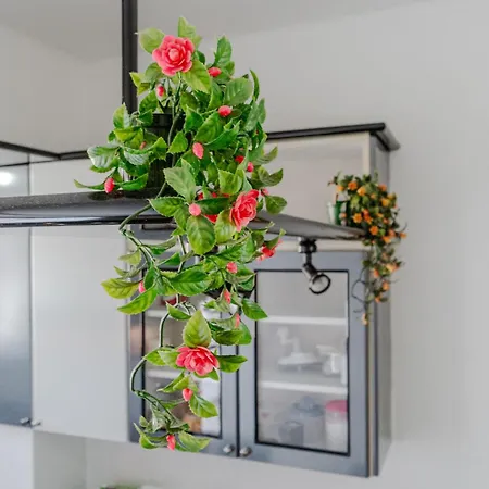 Apartamento Il Gelsomino